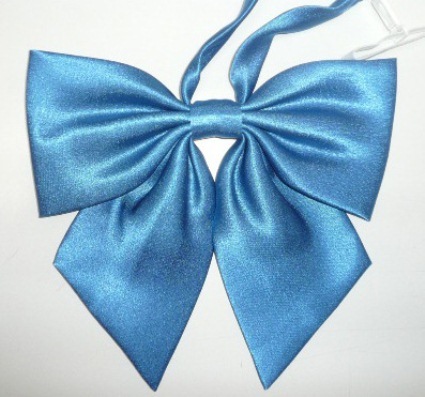 ���������ۥϥͥ��ȡ��� ��ܥ󥿥� No.2010����12��