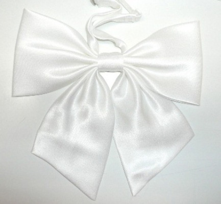 ���������ۥϥͥ��ȡ��� ��ܥ󥿥� No.2010����12��