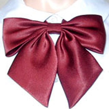 ���������ۥϥͥ��ȡ��� ��ܥ󥿥� No.2010����12��