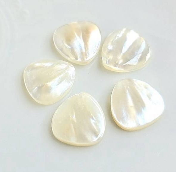 天然シェル:花びら丸上横穴(2個入り)
