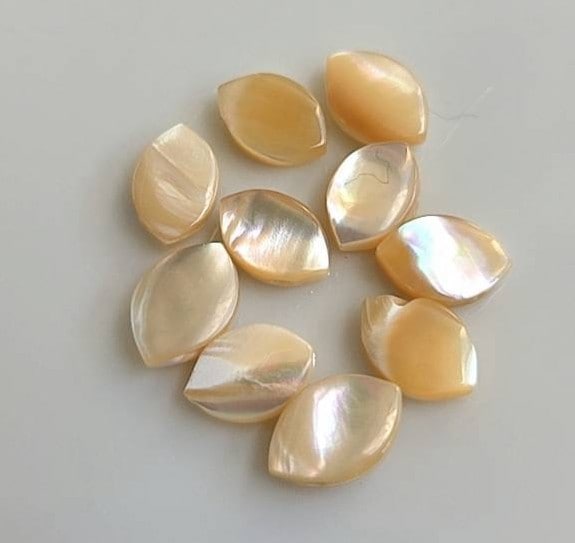 天然シェル:キャラメル しずく上横穴(6個入り)