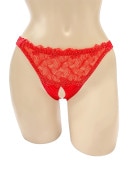 �ե���ȥ졼�� �����ץ󥯥��å����硼��