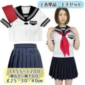 wcs-01ղ Ⱦµ 顼 