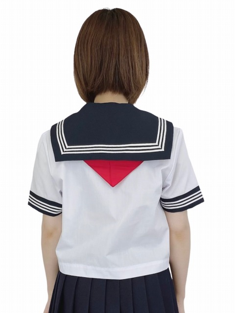 �ղ� Ⱦµ �����顼�� ��������