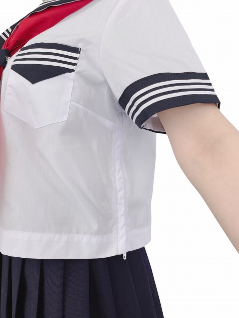 �ղ� Ⱦµ �����顼�� ��������