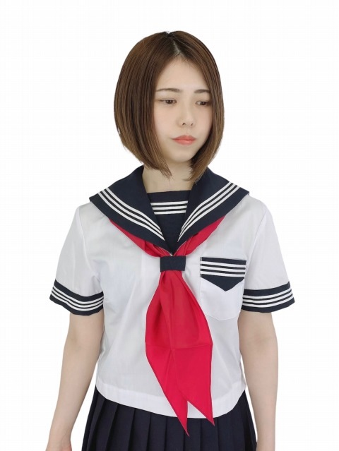 �ղ� Ⱦµ �����顼�� ��������