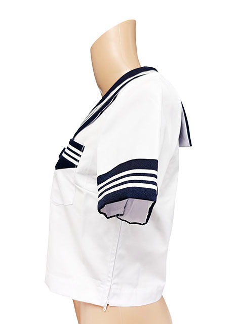 �ղ� Ⱦµ �����顼�� ��������