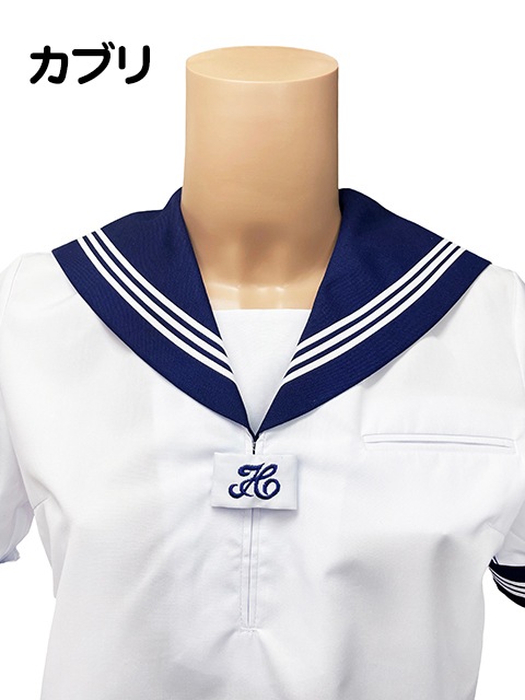 �إ�������ѡ���ٽղ� �����顼�� Ⱦµ��������/���֥�