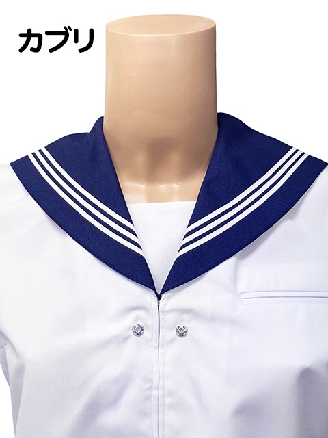 �إ�������ѡ���ٽղ� �����顼�� Ⱦµ��������/���֥�