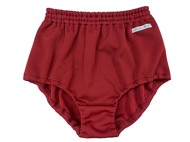 ᥤȥꥸʥ롡SchoolMateΡޥ֥ޡ