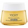 【ヴィシー】ネオバディオル アンチエイジ ナイトクリーム（肌への脂質補給,滑らかな肌）50ml 【VICHY】NEOVADIOL CREME NUIT RELIPIDANTE RAFFERMISSAN