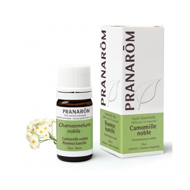 プラナロム カモマイル ローマン 5ml<br>PRANAROM HUILE ESSENTIELLE