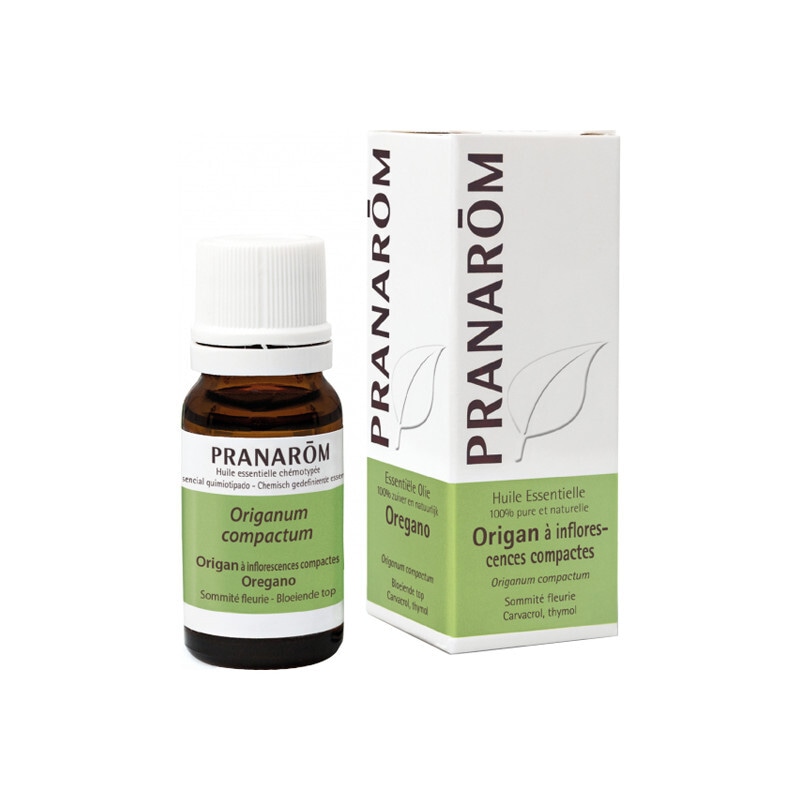 【プラナロム】オレガノ 10mL<br>【PRANAROM】HUILE ESSENTIELLE ORIGAN A INFLORESCENCES COMPACTES (ORIGANUM COMPACTUM) 10mL