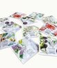 �ڥե饴�ʡ���۹���դ����å��� 20�ġ�FRAGONARD��20 Pochettes Parfum���es L'Herbier de Fragonard
