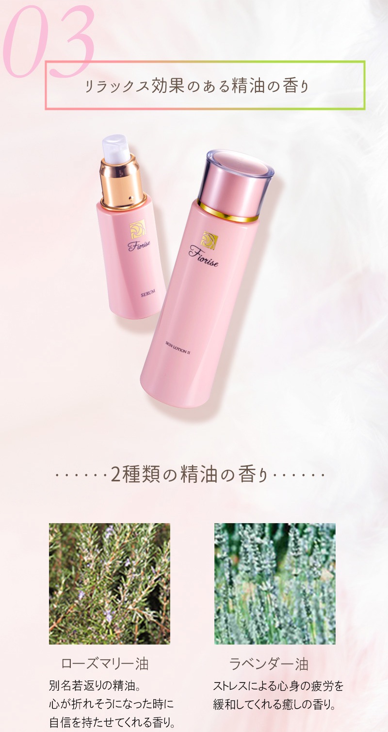 ��NEW�ۥե����饤�� ��������������N III��ȤƤ⤷�äȤ꥿���ס�200ml