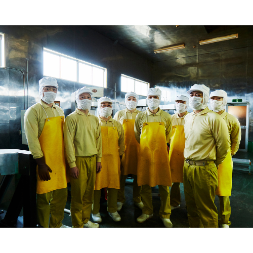 ��������4�Ď����ġ�������ܳʥ�ȥ�ȥ����塼2��(���꡼�ࡦ�ӡ���)