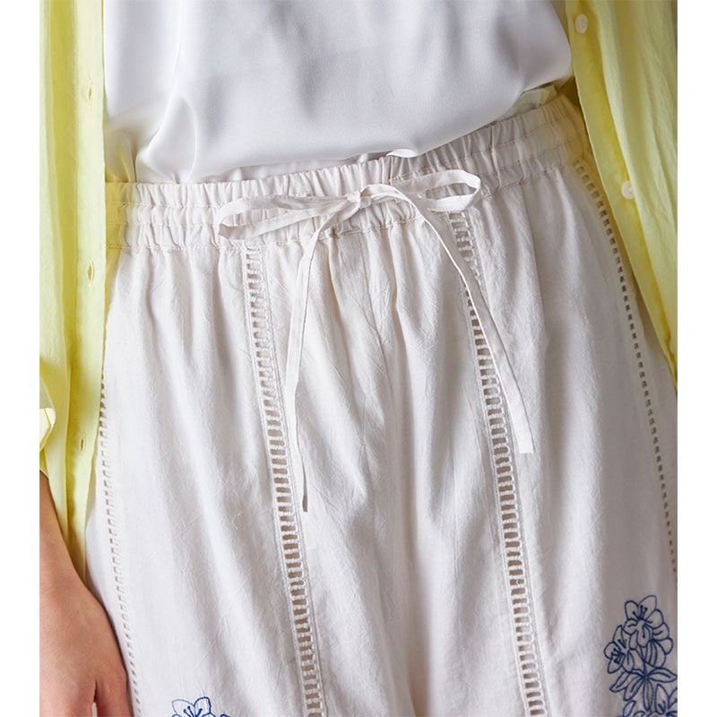 �ѥå�����ۿ��ɽ��ѥ��