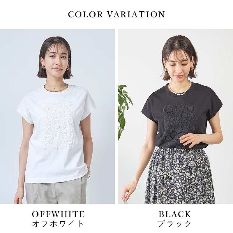 �ե�Ω�λɽ��ե������꡼��T�����