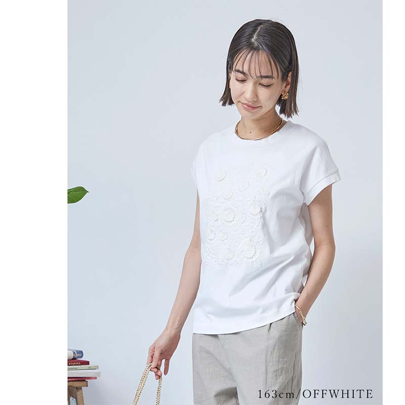 �ե�Ω�λɽ��ե������꡼��T�����