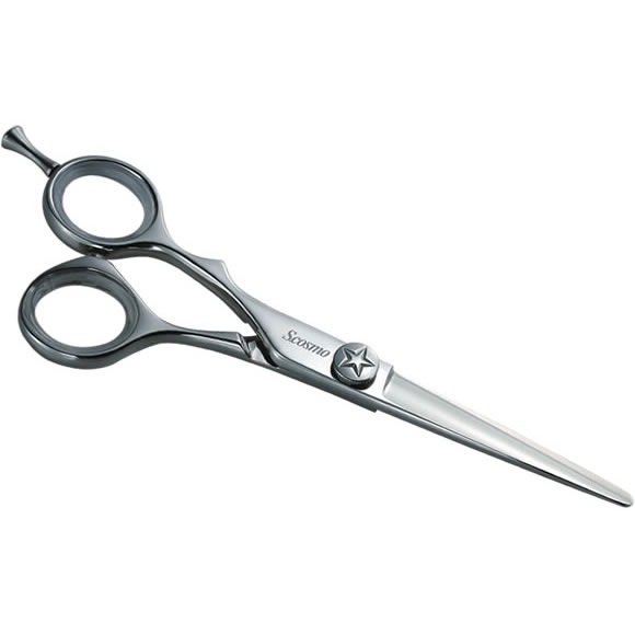 ��եƥ������꡼���ʺ������ѡˡ�NY-L 5.5��2���֤����󥿥륷������