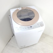 ��� 10.0kg �������� ����ư������ ���㡼�� ES-GV10B-T 2017ǯ��¤ ����С����� �� 6�����ݾ��դ�