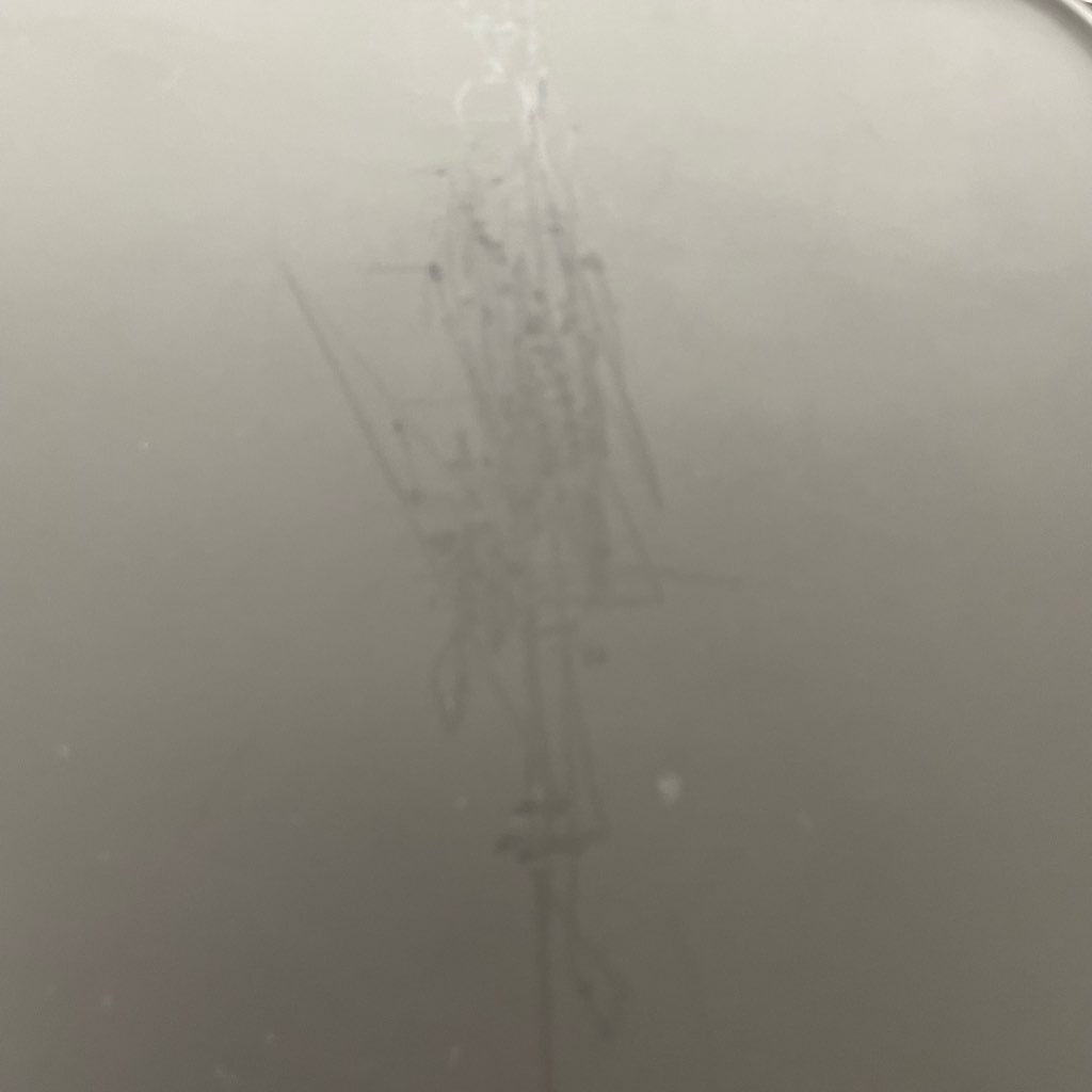 ��� 146L 2�ɥ���¢�� ��ɩ�ŵ� MR-P15F-H 2021ǯ�� ��ư�����ե��� �ޥåȥ��㥳���� �����餷 ñ���� 6�����ݾ��դ�