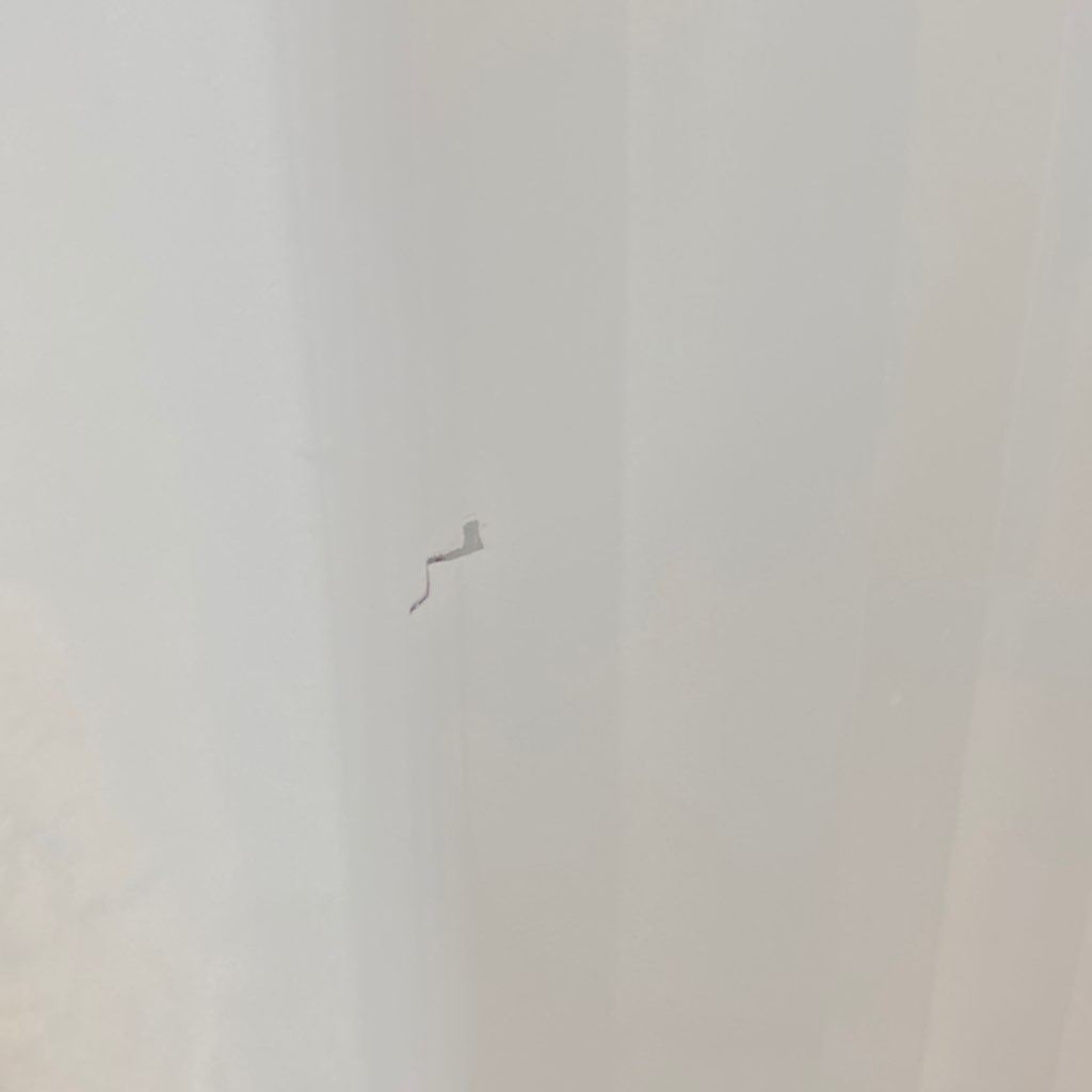   饹ȥåץ꡼ 8.0kg ư AQW-GV800E 2017ǯ 6ݾդ