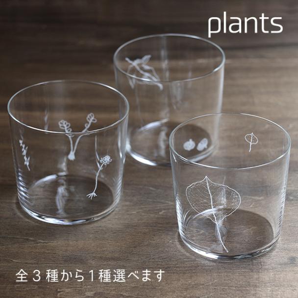 木村硝子店 plants 全3種 ロックグラス 300ml（17807・17808・17809）