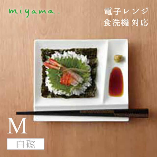 食器皿 M 5枚セット イゾラ パレットプレート isola palette plate 白磁 深山陶器 miyama（59-014-101）