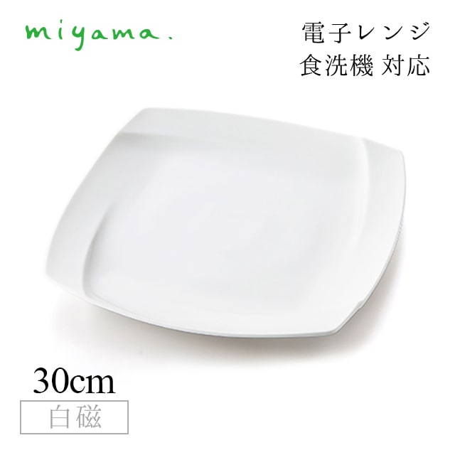 食器皿 30cm プレート 2枚セット オビ Obi 白磁 深山陶器 miyama（03-001-101）