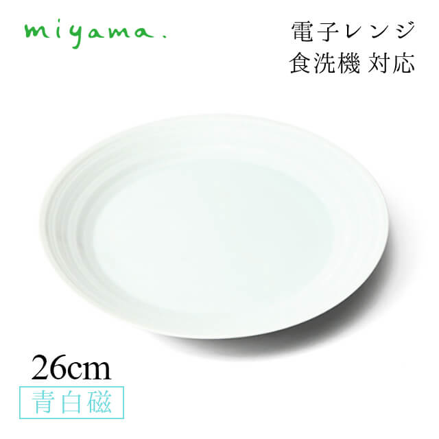 食器皿 26cm パスタ皿 2枚セット 蒼 sooo 青白磁 川昌製陶所 深山陶器 miyama（KSO001LB）