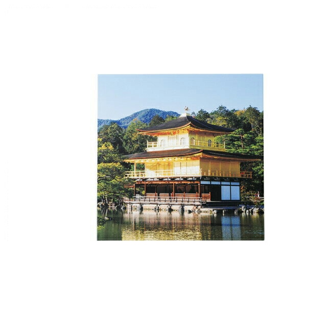 懐石盆 尺0.5寸 角雅 金閣寺裏白塗 和美作日 Wabisabi（3-043-05)