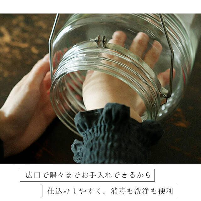 復刻梅びん 3L レードル付き アデリア 石塚硝子（711-1）