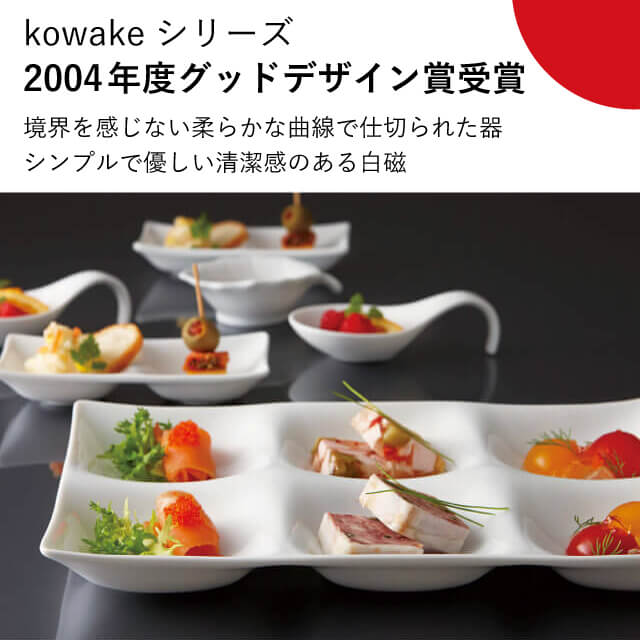 仕切りビュッフェプレート 2枚セット コワケ kowake 白磁 深山陶器