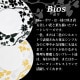 サービングプレート R&P 31cm Bios 丸東 STUDIO 010(BS-108)