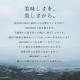 SAKUZAN 作山窯 マグカップ 240cc 3個セット Stripe（20013・20014・20015・20033・20579・20580・20581）