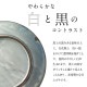 アリュール 26.5cmオーバルプレート 2個 モデルノ(U41-935-0104)