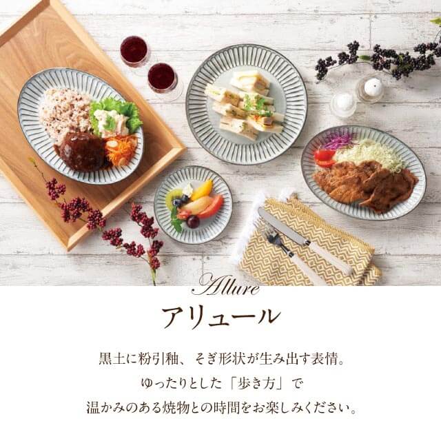 アリュール 24cmオーバルプレート 4個 モデルノ（U41-935-0105）