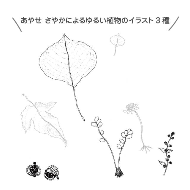 木村硝子店 plants 全3種 ロックグラス 300ml（17807・17808・17809）