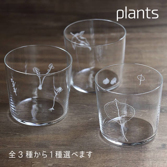 木村硝子店 plants 全3種 ロックグラス 300ml（17807・17808・17809