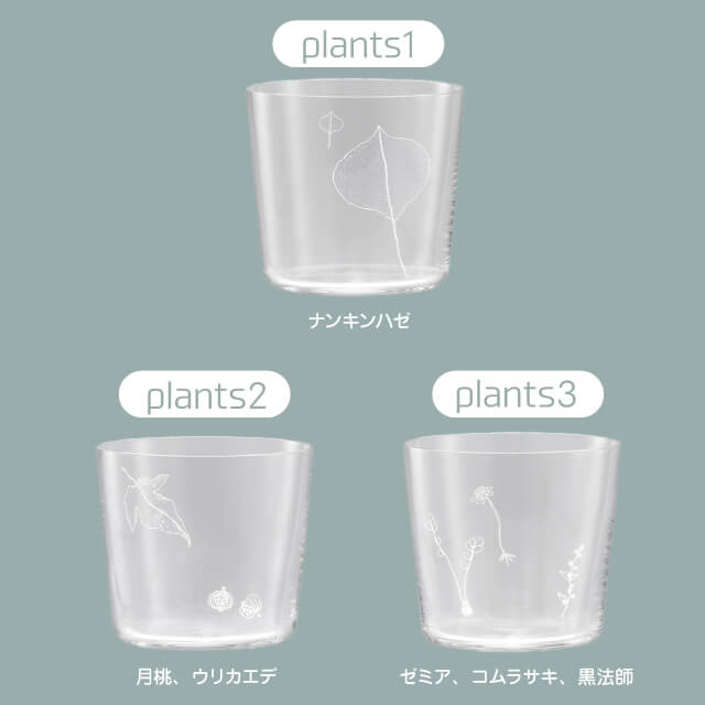 吉沼硝子 フローラルコーラーグラス×3 【公式通販】