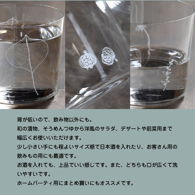 木村硝子店 plants 全3種 ロックグラス 300ml（17807・17808・17809）