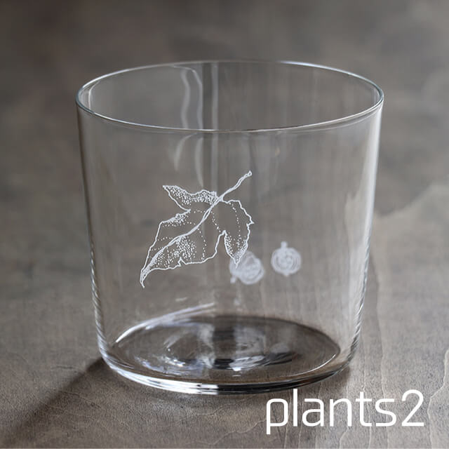 モーゼル★グラス リンダ子 414Y9FsuMsS.jpg_BO30,255,255,