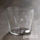 木村硝子店 plants 全3種 ロックグラス 300ml（17807・17808・17809）