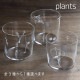 木村硝子店 plants 全3種 ロックグラス 300ml（17807・17808・17809）