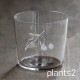 木村硝子店 plants 全3種 ロックグラス 300ml（17807・17808・17809）