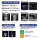ディアマン ワイングラス 450ml 24個 カートン 東洋佐々木ガラス(RN-11235CS-1ct)