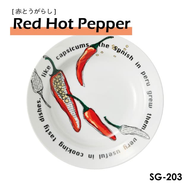 パスタボール 23cm 3枚セット 選べる5デザイン Spago スパーゴ丸東 STUDIO 010（SG-201・SG-202・SG-203・SG-204・SG-205）