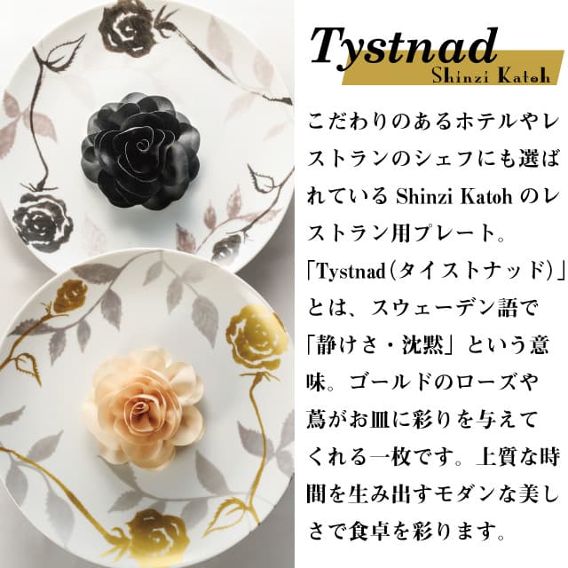 メタプレート 28cm 2枚セット 選べる2カラー Tystnad 丸東 STUDIO 010（TY-101・TY-201）