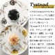 メタプレート 28cm 2枚セット 選べる2カラー Tystnad 丸東 STUDIO 010(TY-101・TY-201)